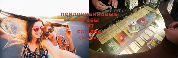 альфа пвп Елизово
