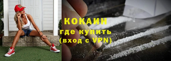 спайс Ельня
