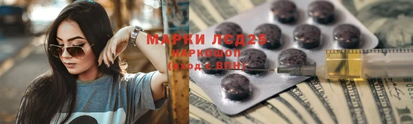 спайс Ельня