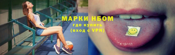 СК Елабуга
