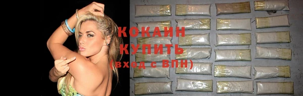 спайс Ельня