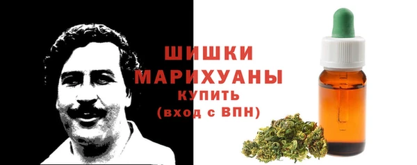 СК Елабуга