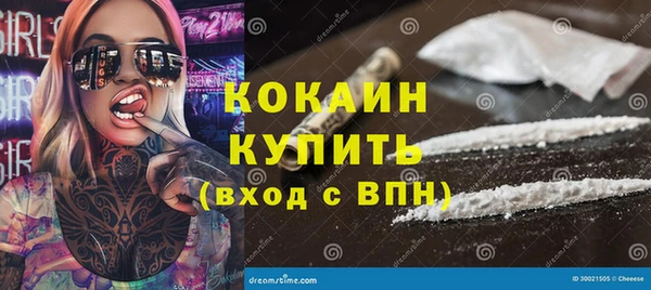 спайс Ельня