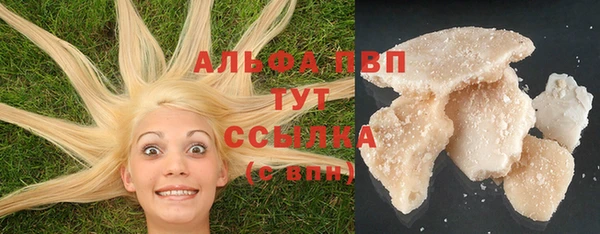 СК Елабуга