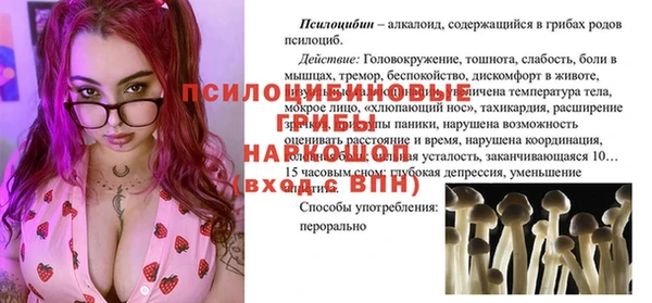 альфа пвп Елизово