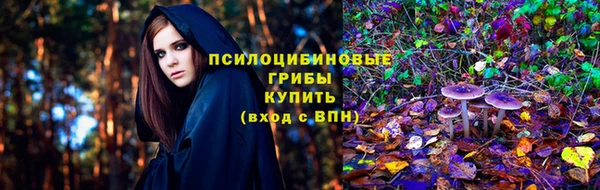 альфа пвп Елизово
