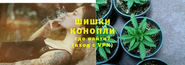 альфа пвп Елизово