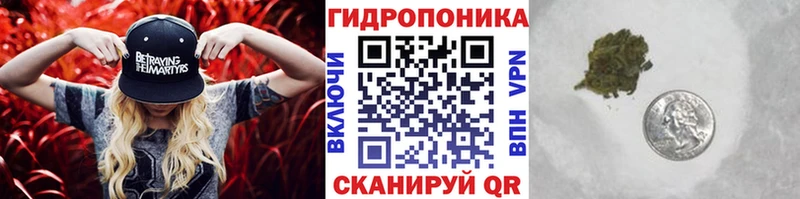 Купить где  Северо-Курильск  Каннабис SATIVA & INDICA 